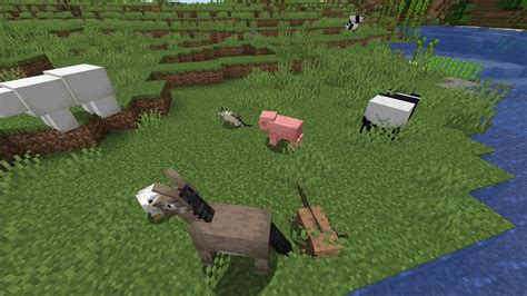 rarest animal minecraft